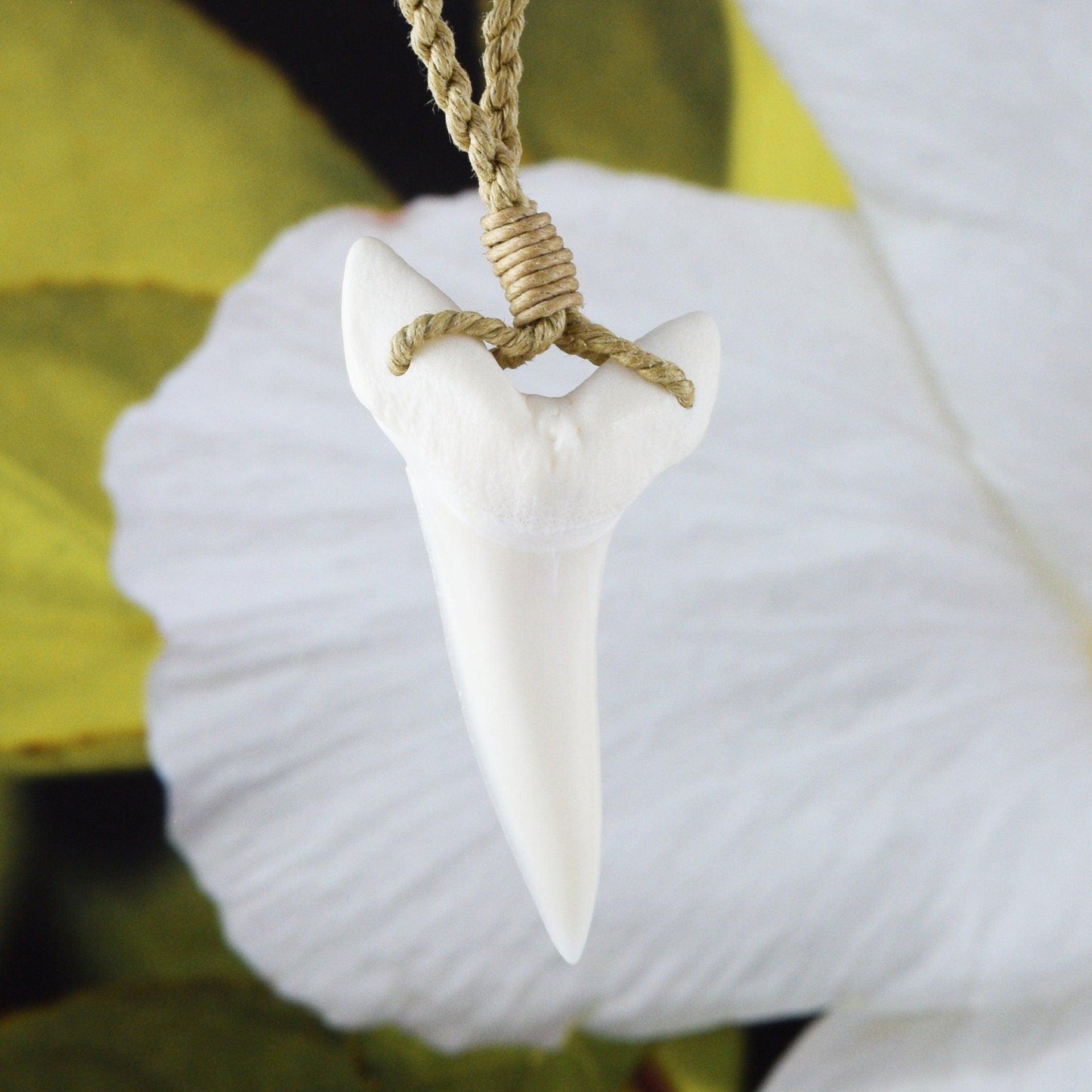 Unique Hawaiian Large Genuine Shark Teeth Necklace, Genuine Shark Teeth Necklace, N9125 Birthday Mother Gift, Island Jewelry - Hawaii Treasures Shop