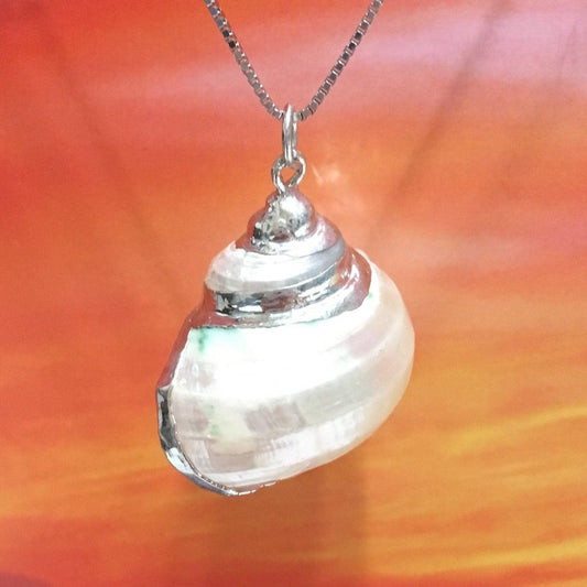 Unique Hawaiian Large Genuine Seashell Necklace, Sterling Silver Natural Sea Shell Pendant, N2996 Birthday Mom Mother Gift, Statement PC - Hawaii Treasures Shop