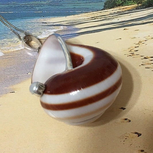 Unique Gorgeous Hawaiian Genuine X-Large Seashell Necklace, Sterling Silver Natural Sea Shell White Pearl Pendant, N8065 Birthday Mom Gift - Hawaii Treasures Shop