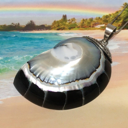 Unique Stunning Hawaiian XX-Large Genuine Nautilus Shell Necklace, Sterling Silver Natural Nautilus Shell Pendant, N8069 Statement PC - Hawaii Treasures Shop