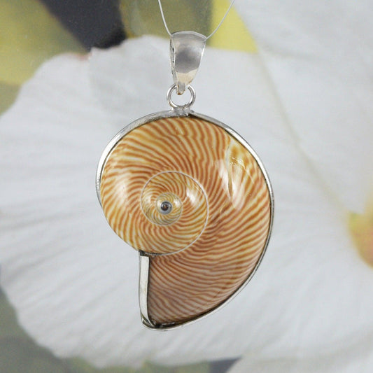 Unique Hawaiian Large Genuine Seashell Necklace, Sterling Silver Natural Seashell Pendant, N8584 Birthday Mom Gift, Statement PC - Hawaii Treasures Shop