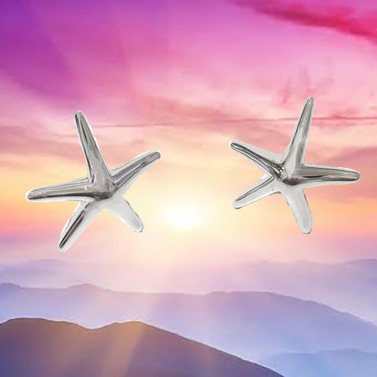 Pretty Hawaiian Starfish Earring, Sterling Silver Star Fish Stud Earring, E4005 Birthday Wife Mom Girl Mother Gift, Island Jewelry - Hawaii Treasures Shop