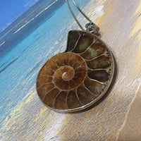 Gorgeous Large Genuine Ammonite Shell Necklace, Sterling Silver Natural Ammonite Fossil Pendant, N2972A Birthday Mom Wife Gift, Statement PC