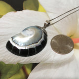 Unique Stunning Hawaiian XX-Large Genuine Nautilus Shell Necklace, Sterling Silver Natural Nautilus Shell Pendant, N8069 Statement PC