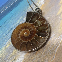 Gorgeous Large Genuine Ammonite Shell Necklace, Sterling Silver Natural Ammonite Fossil Pendant, N2972A Birthday Mom Wife Gift, Statement PC