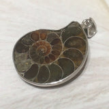 Unique Beautiful Hawaiian Genuine Ammonite Necklace, Sterling Silver Natural Ammonite Fossil Pendant, N8273 Birthday Mom Wife Valentine Gift