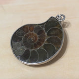 Unique Beautiful Hawaiian Genuine Ammonite Necklace, Sterling Silver Natural Ammonite Fossil Pendant, N8273 Birthday Mom Wife Valentine Gift