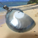 Gorgeous Genuine X-Large Nautilus Shell Necklace, Sterling Silver Natural Nautilus Fossil Pendant N8071 Birthday Mom Gift, Statement PC