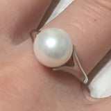 Beautiful Hawaiian White Shell Pearl Ring, Sterling Silver Shell Pearl Ring, R2409 Birthday Mom Valentine Gift, Statement PC