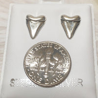 Unique Hawaiian Shark Teeth Earring, Sterling Silver Shark Teeth Stud Earring, E8313 Valentine Birthday Mom Gift